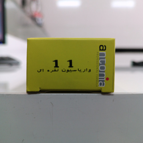 رنگ آنتونیا شماره 11 واریاسیون نقره ای